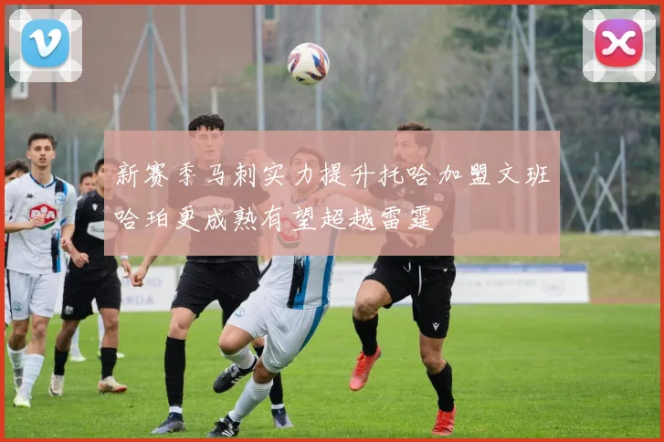 新赛季马刺实力提升托哈加盟文班哈珀更成熟有望超越雷霆